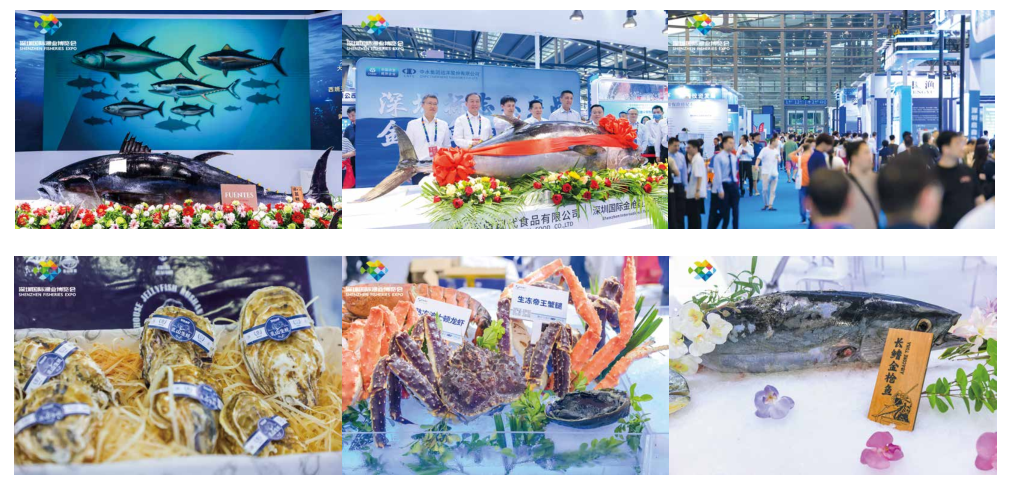 2025深圳渔博会图39.png 2025深圳渔博会图39.png